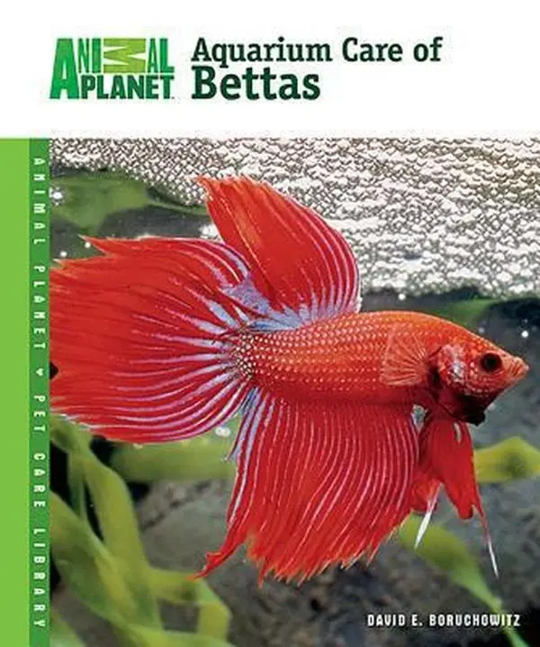 USED Book - Aquarium Care of Bettas by Boruchowitz, David E. (Hardcover) - english