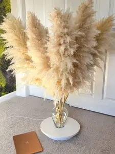 5 Stems Pampas Grass, Dry Flowers For Home Decor, Pampas Bouquet, Wedding Decoration, Flowers Lover Gift