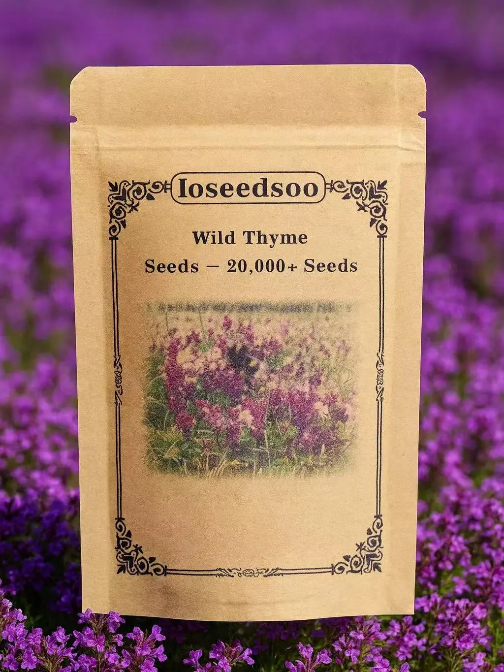 Wild Thyme Seeds – 20,000+ Seeds, Perennial Ground Cover Plant for Outdoor Garden & Landscaping