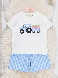 Gingham Embroidered Fruit Truck Cotton Outfit