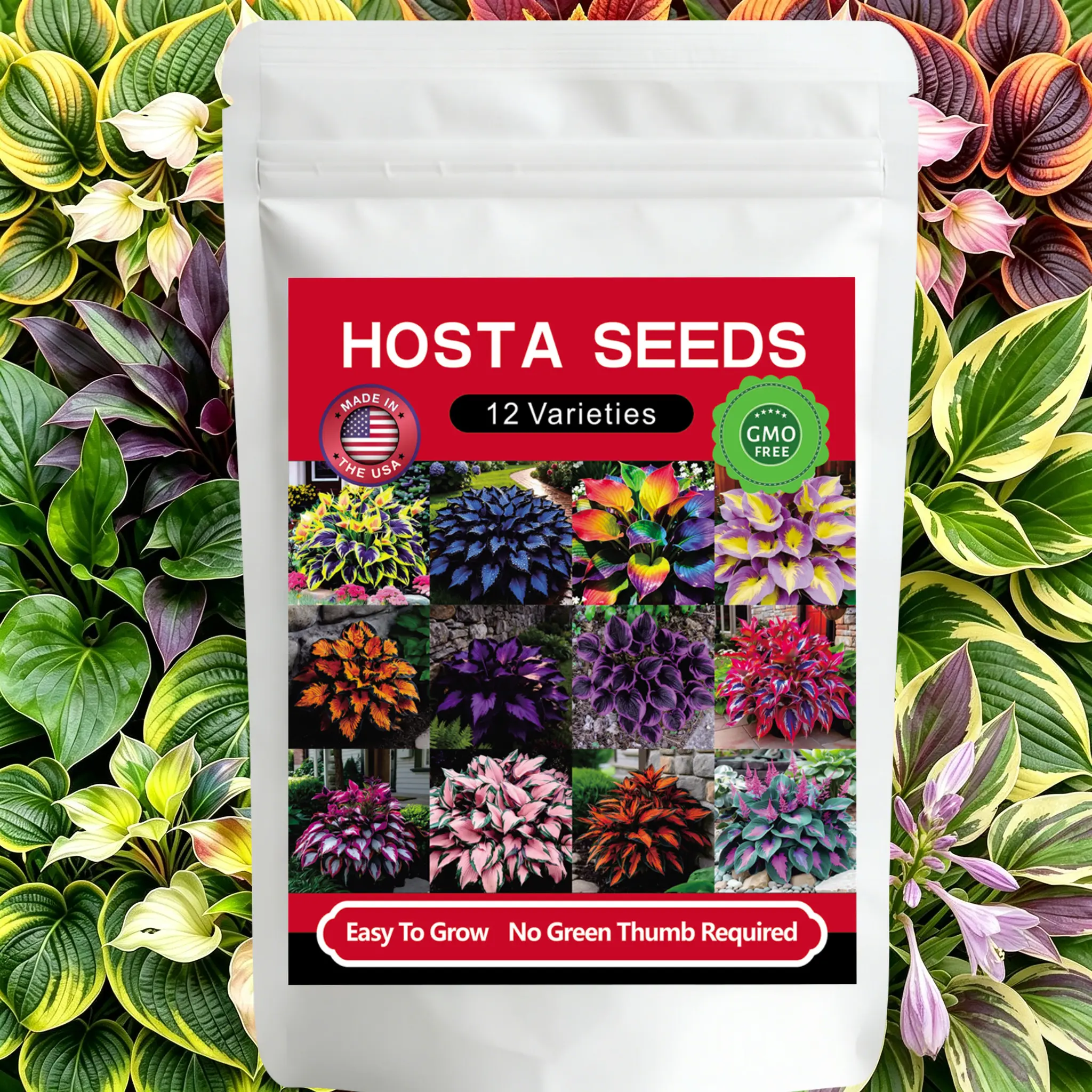 12 Varieties Hosta Seeds for Home Garden - Shade-Tolerant Perennial Plant