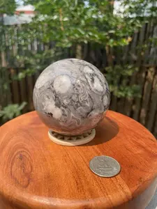 Large Ammonite Crinoids Fossil Sphere - 75mm