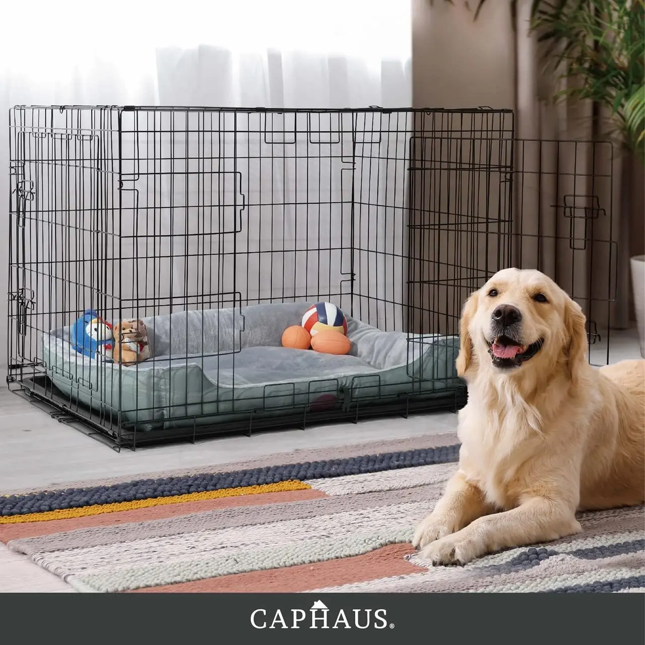 CAPHAUS Foldable Dog Crate Wire Metal Dog Kennel w/ Leak-Proof Pan & Protecting Feet & Divider Panel, Small, Medium & Large Dog Crate Indoor Wire Dog Cage, 24”/30”w/ Single Door