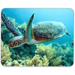 Green sea Turtle  pad,  Rubber  Pad, Quality Creative Wrist-Protected Wristbands Personalized Desk,  Pad (9.5 inch x 7.9 inch)