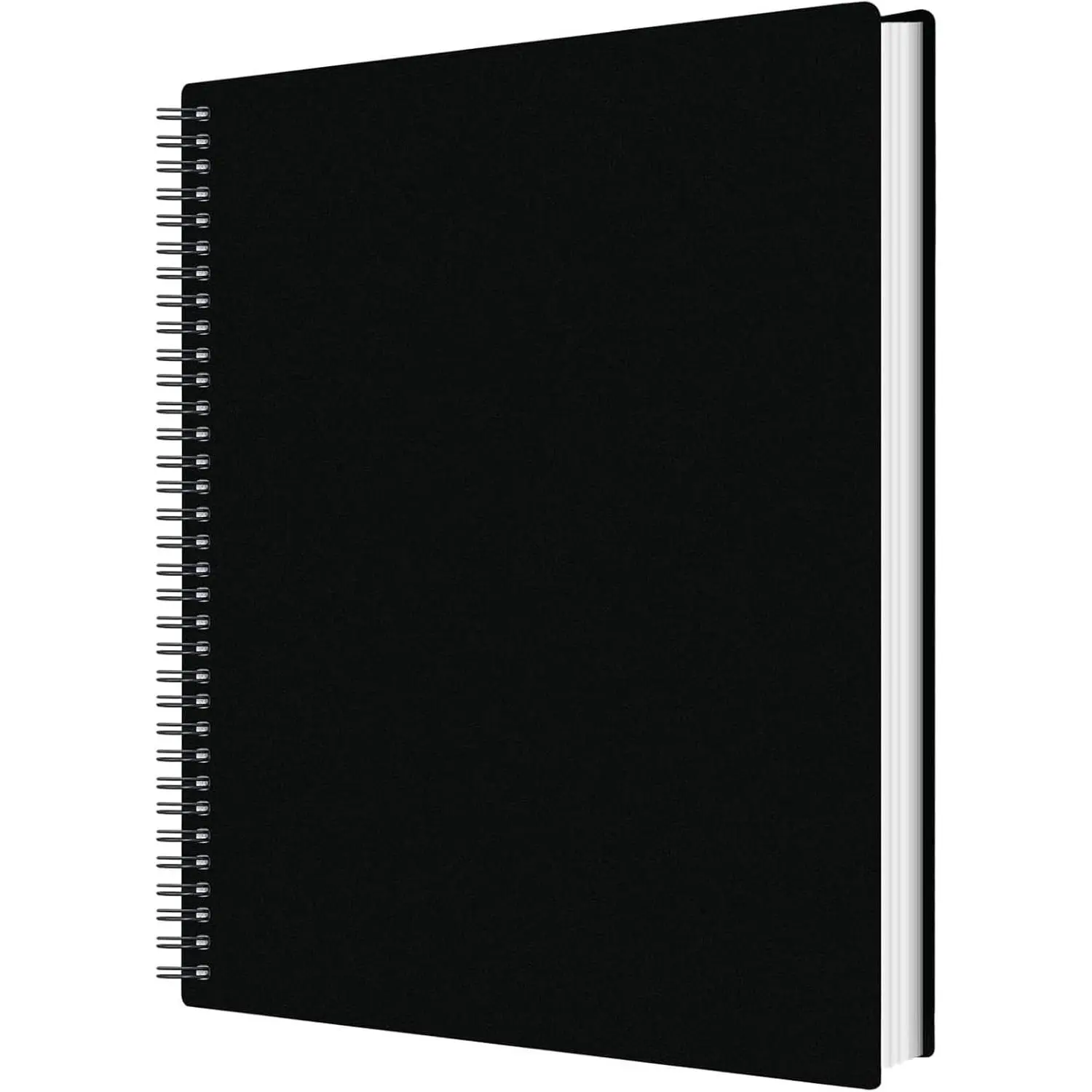 50 Pockets Portfolio Binder with Plastic Sleeves, Presentation Book Display 100 Pages File Folder for Artwork, Sheet Music, Document,  Painting (50 Pockets Portfolio Binder)