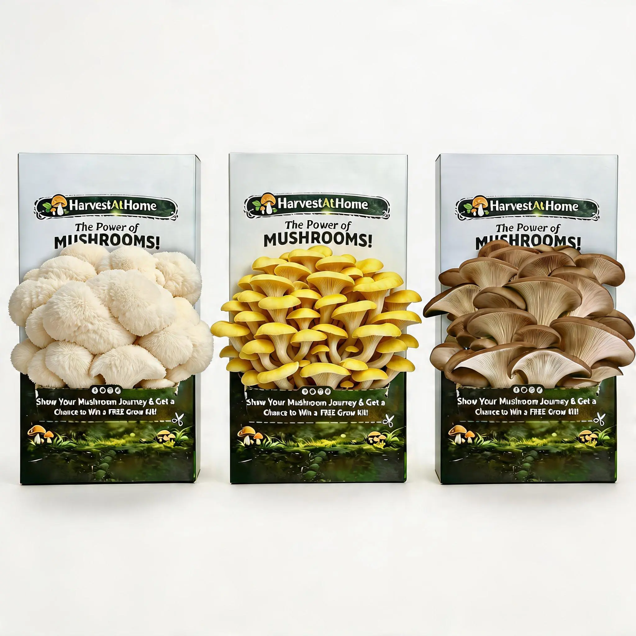 HarvestAtHome Organic Oyster Mushroom Grow Kit, 3-Pack, 3.5 lb Each – Easy Indoor Growing Kit, Just Mist & Grow, Fresh Edible Mushrooms for Home Gardening