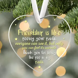Friendship Is Like Peeing Your Pants, Friendship Heart Shaped Transparent Acrylic Pendant Decoration, Fun Friendship Home Decor, Christmas Decoration, Window Acrylic Decoration, Christmas Tree Pendant Decoration, Gift for Good Friends