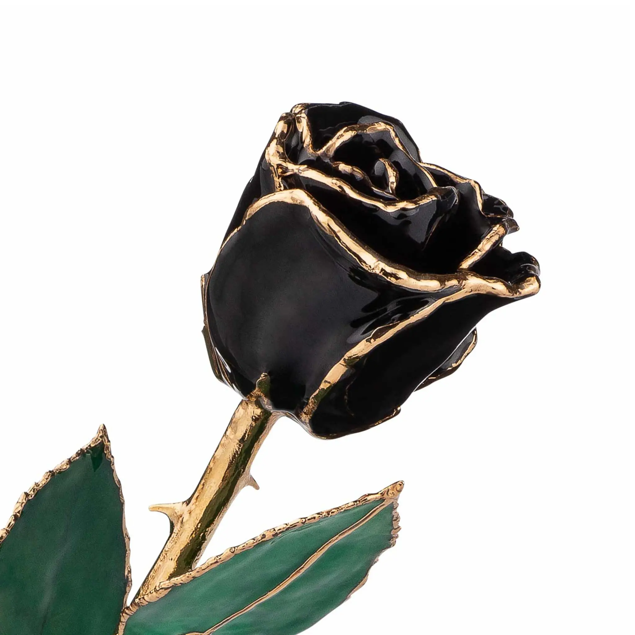 24K Gold Forever Rose - Black