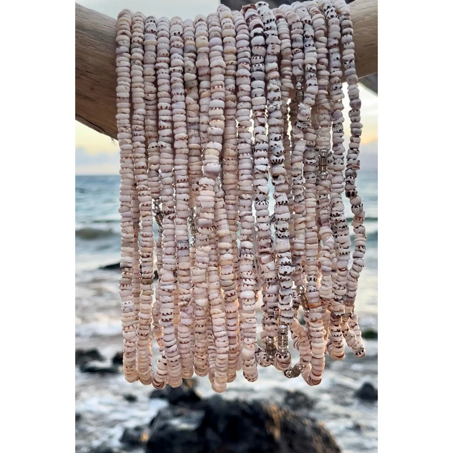 da Hawaiian Store Small Cone Puka Shell Choker Necklace Length