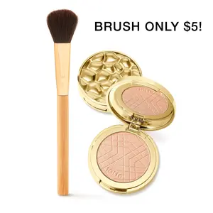 tarte Amazonian clay shimmering light highlighter & brush