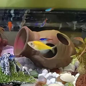 Unique Clay Fish Tank Decorative Pottery Planter for Aquatic Plants, Handcrafted Ceramic Container for Home & Garden Decoration, Durable Plant Holder Gift Idea