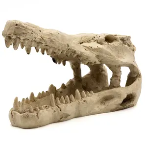 Crocodile Skull Reptile Hide (Artificial)