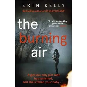USED-The Burning Air by Erin Kelly (Paperback)