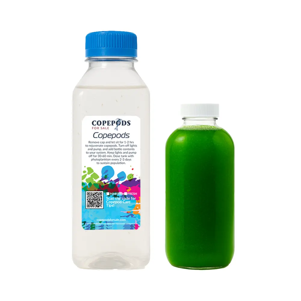 8oz Tig Pods + 4oz Phytoplankton Combo | Natural Copepod & Coral Booster |