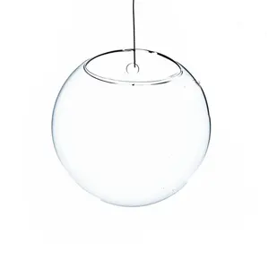Athenas Garden  5 in. Dia. Clear Half-Round Wall Hanging Terrarium & Vase, Set of 2