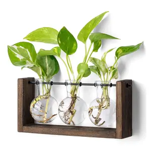 Glass Plant Terrarium - 3 Bulbs Propagation Station with Retro Wood Stand Indoor Garden Planter, Bulb Vase & Desktop Decor for Home Kitchen Wedding, Gift for Women & Plant Lover