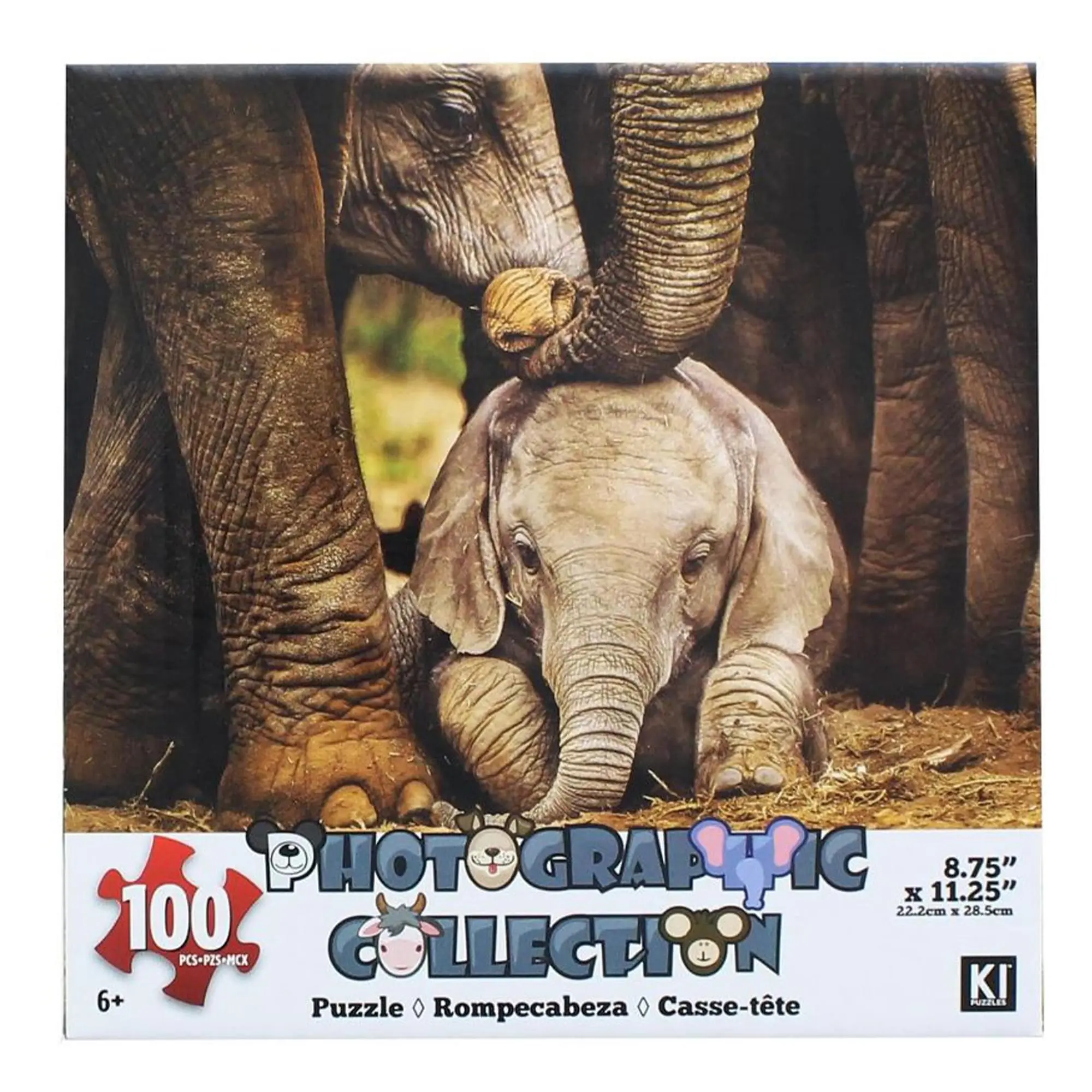 Elephant 100-Piece Photographic Collection Jigsaw Puzzle, Toys & Hobbies Board Game for Ages 12+, 12 Years Above & All Ages at Birthdays