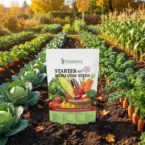 [Highly recommend] Vegetable Seed Storage Set - 35 Assortment Collection for Kitchen Sowing and Growing Survival Crops Non-GMO Herb Variety Excellent Planting Bundle for Each Home Container