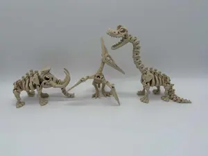 Dinosaur Skeletons(non dinosaurs)