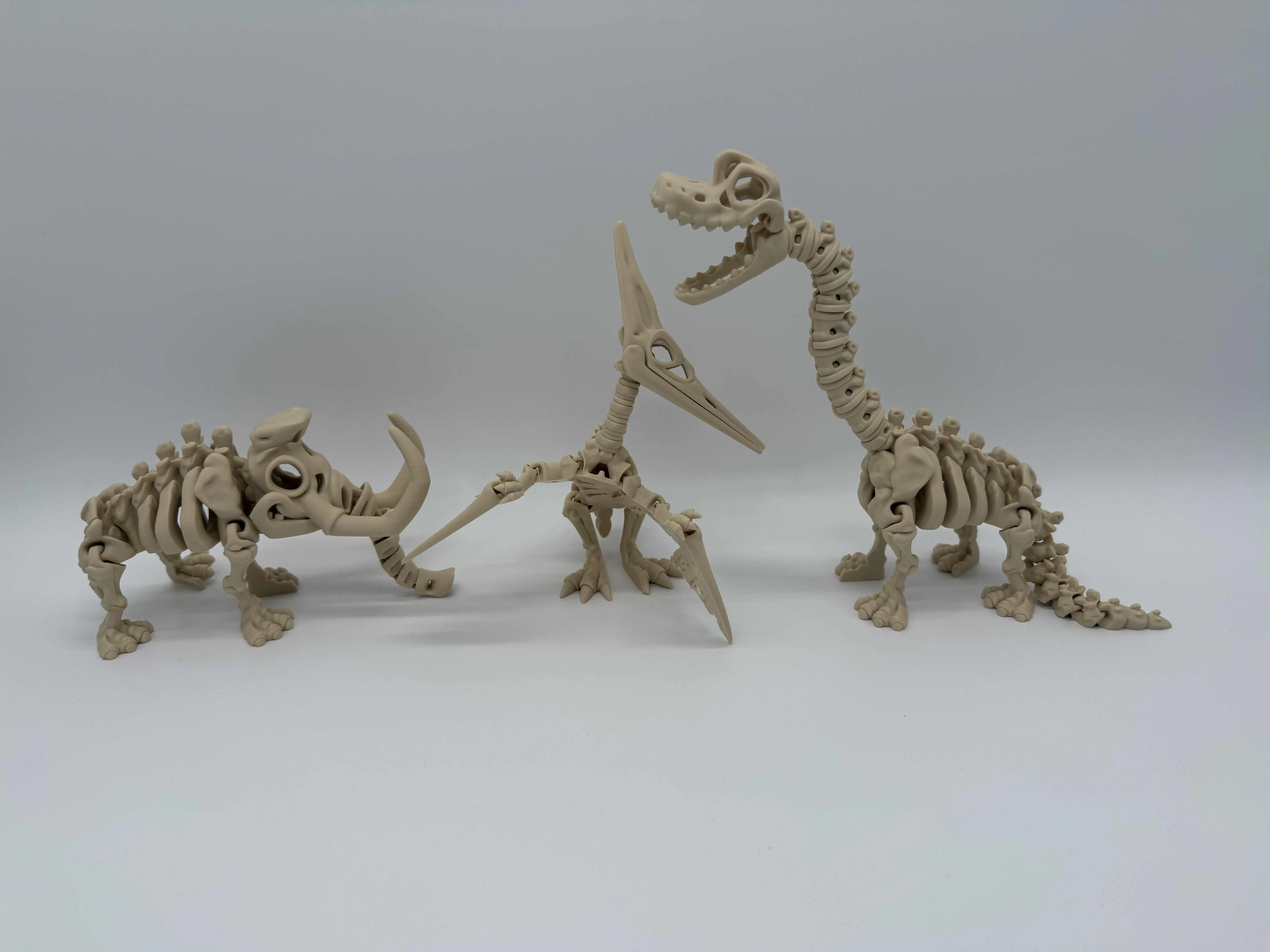 Dinosaur Skeletons(non dinosaurs)
