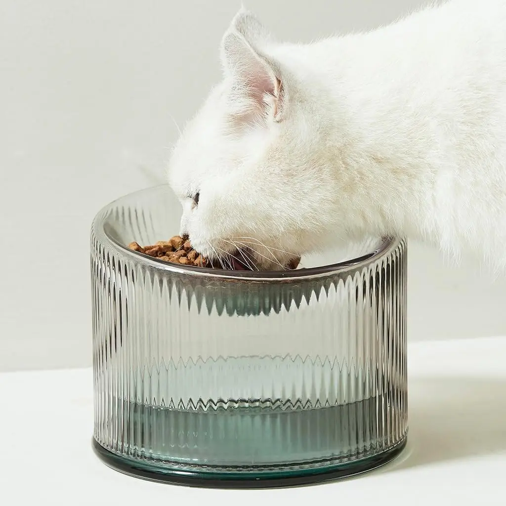 Elevated Glass Cat Bowl with Stand for Food & Water, Raised Feeding Bowl for Cats & Kittens, Stylish Solid Pet Dish at Comfortable Height