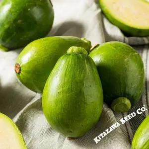 Squash Seeds - Korean, Summer - Teot Bat Put - Hybrid