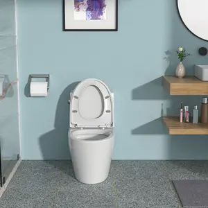 Ceramic One Piece Toilet Single Flush with Soft Closing Seat Modern Sleek Design Tornado Siphonic Flushing System No Clogs No Leaks