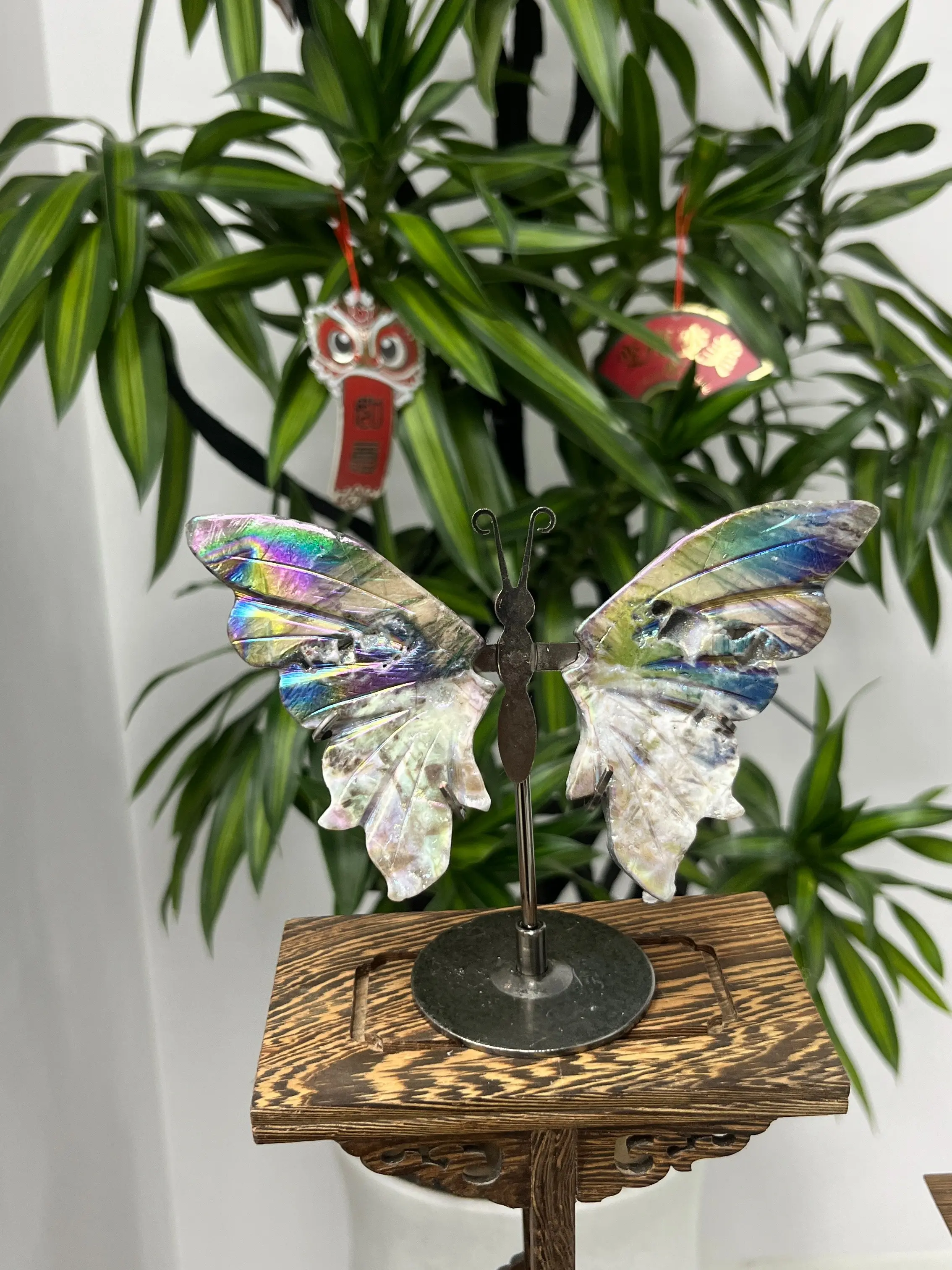 Suvi(3137)gc.Crystal butterfly wings