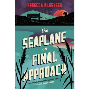 USED-The Seaplane on Final Approach by Rukeyser, Rebecca (Hardcover)