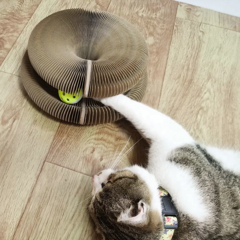 Fold-Out Cat Scratcher — Paper Organ