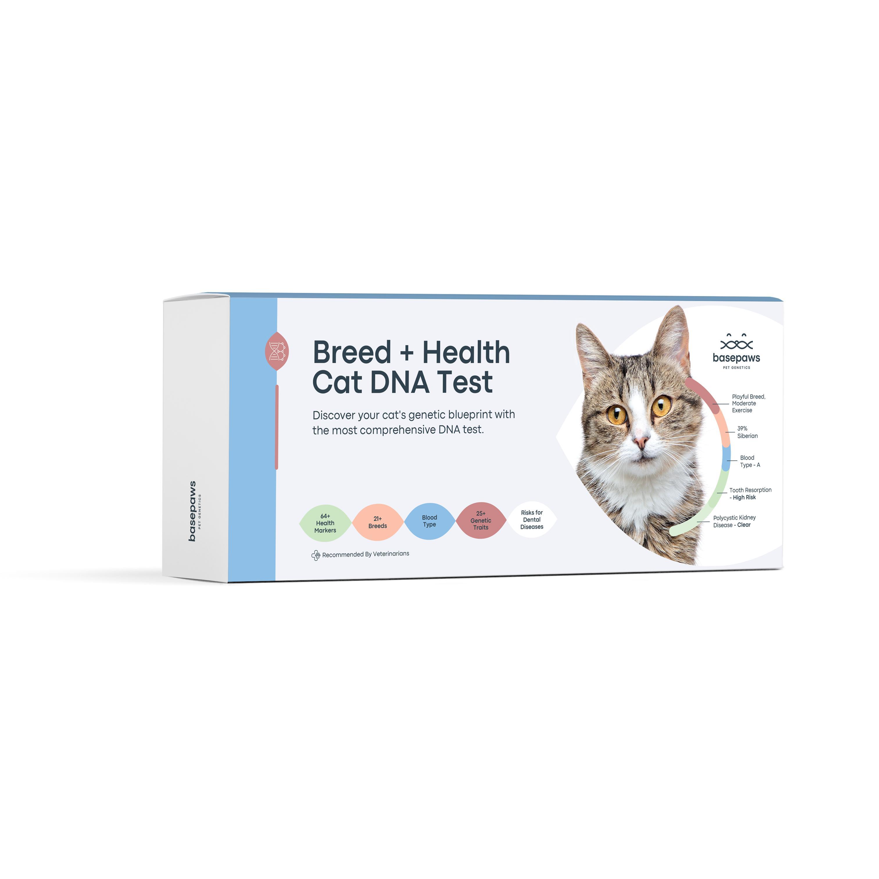 Basepaws Cat DNA Test, Breed & Health Reports, Wildcat Index, 39 Health Markers, 17 Genetic Diseases - 1 Pack