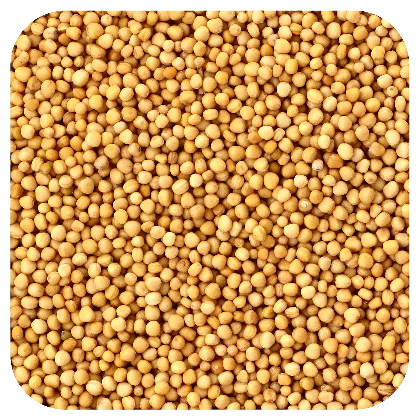 Frontier Co-op Organic Whole Yellow Mustard Seed, 16 oz (453 g) Frontier Co-op Organic Whole Yellow Mustard Seed, 16 oz (453 g)