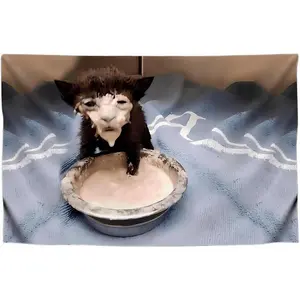 60x40inch Funny Smeared Kitten Tapestry Single Sided Flag Funny Black Cat Meme Wall Decorations - Polyester Cool Ridiculous Cats Outdoor or Indoor Flag - Animals Tapestry For Classroom