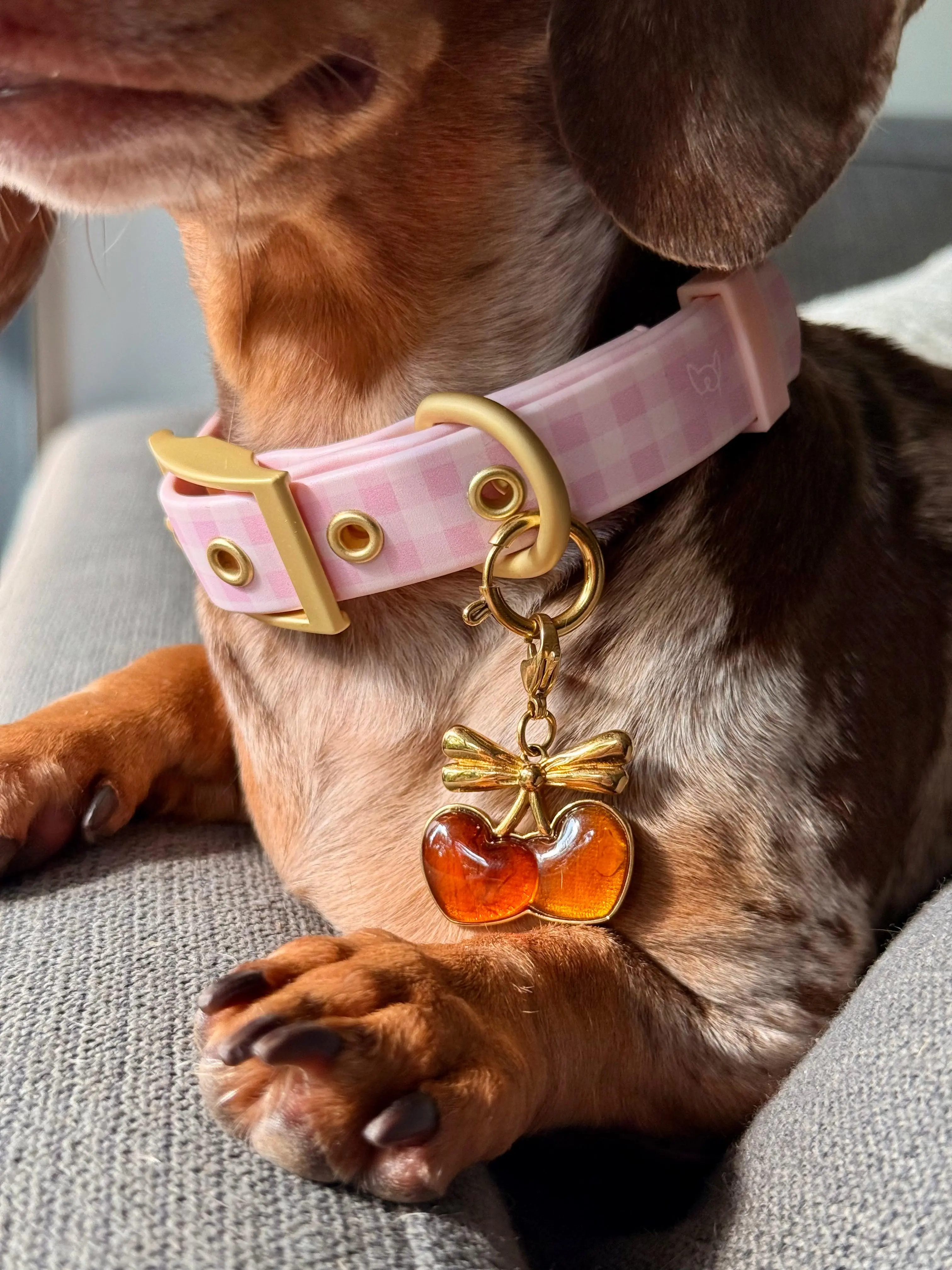 Wander! Collar 2.0 - Blossom Gingham Personalized Heart Tag