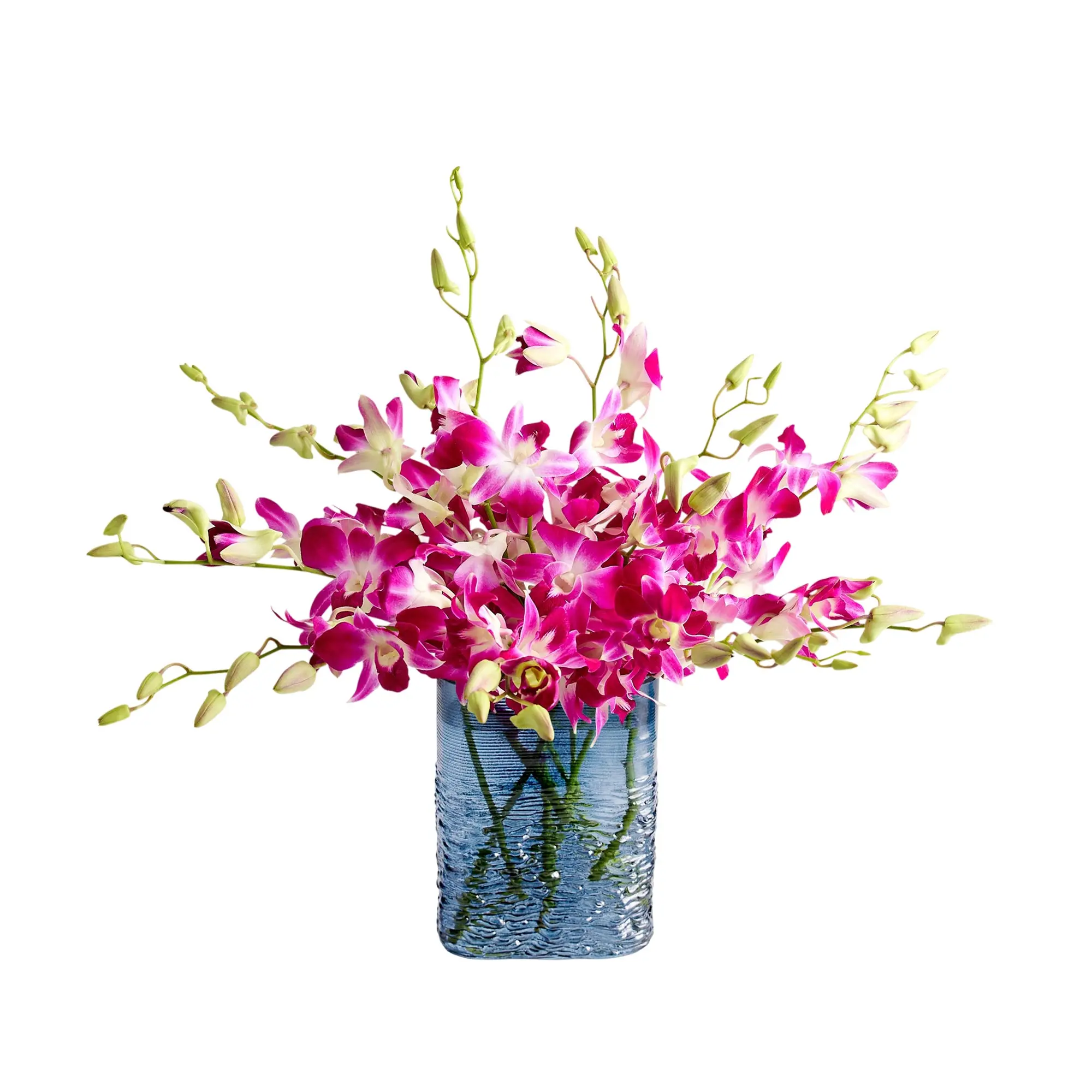 1800 Flowers – 10 Stem Exotic Breeze™ Orchids with Blue Vase