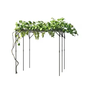 Garvee Outdoor Arch Trellis for Grape and Cucumber,79"x79"x79" Tall Square Garden Arch Trellis for Climbing Plants, Ideal for Patio, Backyard and Lawn