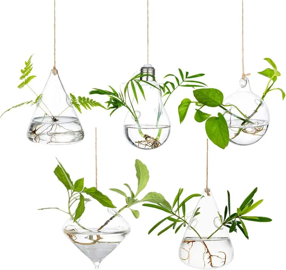 Glasseam Hanging Hand Blown Glass Terrarium Set - 5Pcs 5 Different Shapes High-Transparency Hydroponics Vases, Cute Planters for Home Improvement, Propagation, Plant Decor (Hanging Baskets, Garden Pots & Planters)