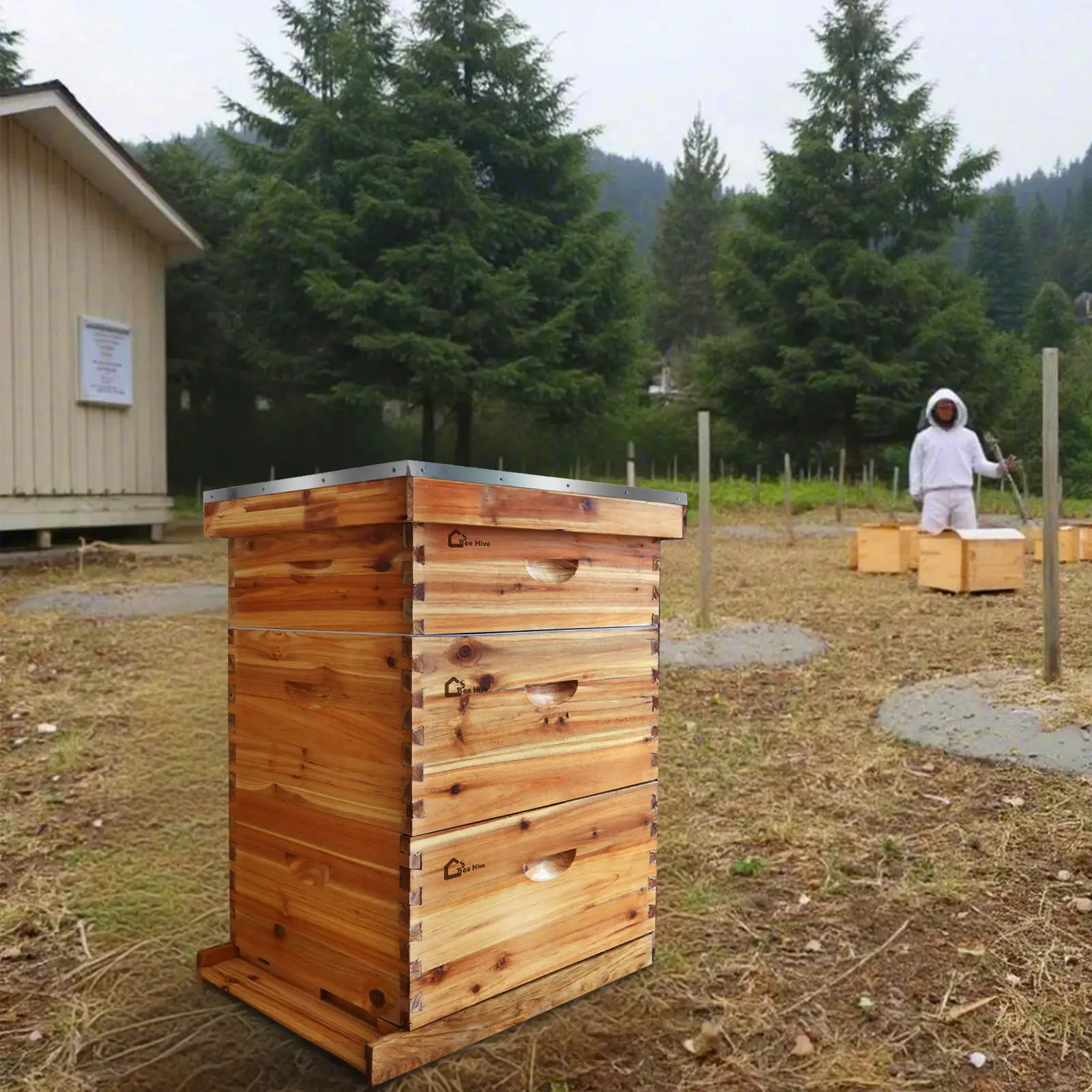 10-Frame Bee Hive Starter Kit,100% Beeswax Coated, 2 Deep Brood Boxes & 1 Medium Super Box, Windowless Design, Complete Beekeeping Starter Kit with Frames & Waxed Foundations