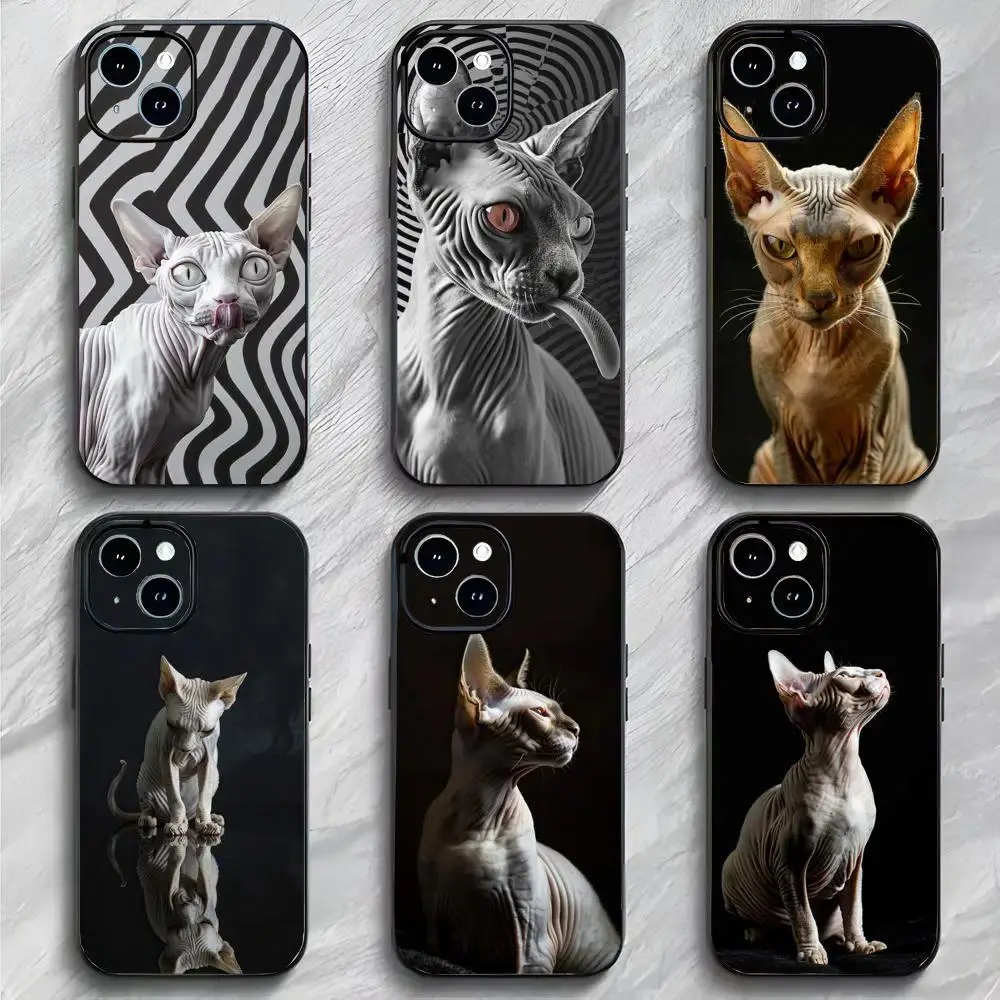 Pet Sphynx Cat Phone Case Black Matte Thin Protective Cover For iPhone 11-17 Pro Max/Plus & Samsung Galaxy S23-S25