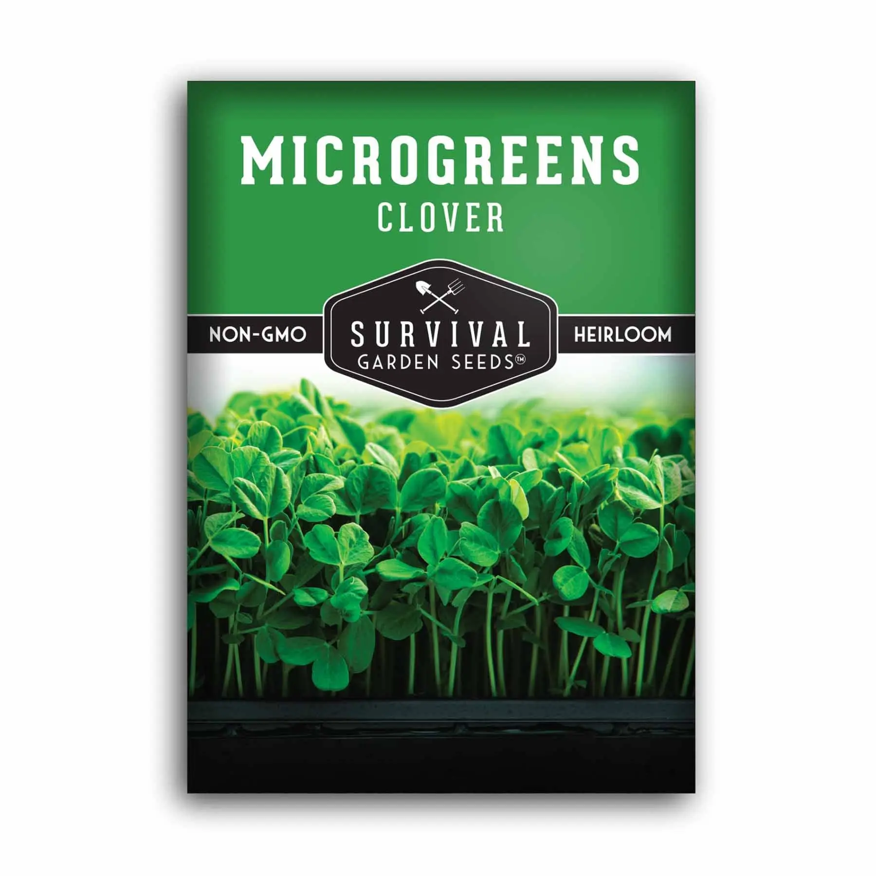 Clover Microgreen Seeds - Grow Your Own Healthy Greens