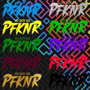 PfknR Vinyl Sticker