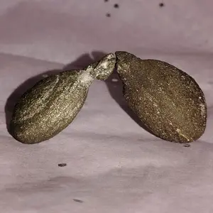 Kansas Pop Rock Pair- Grounding Stones