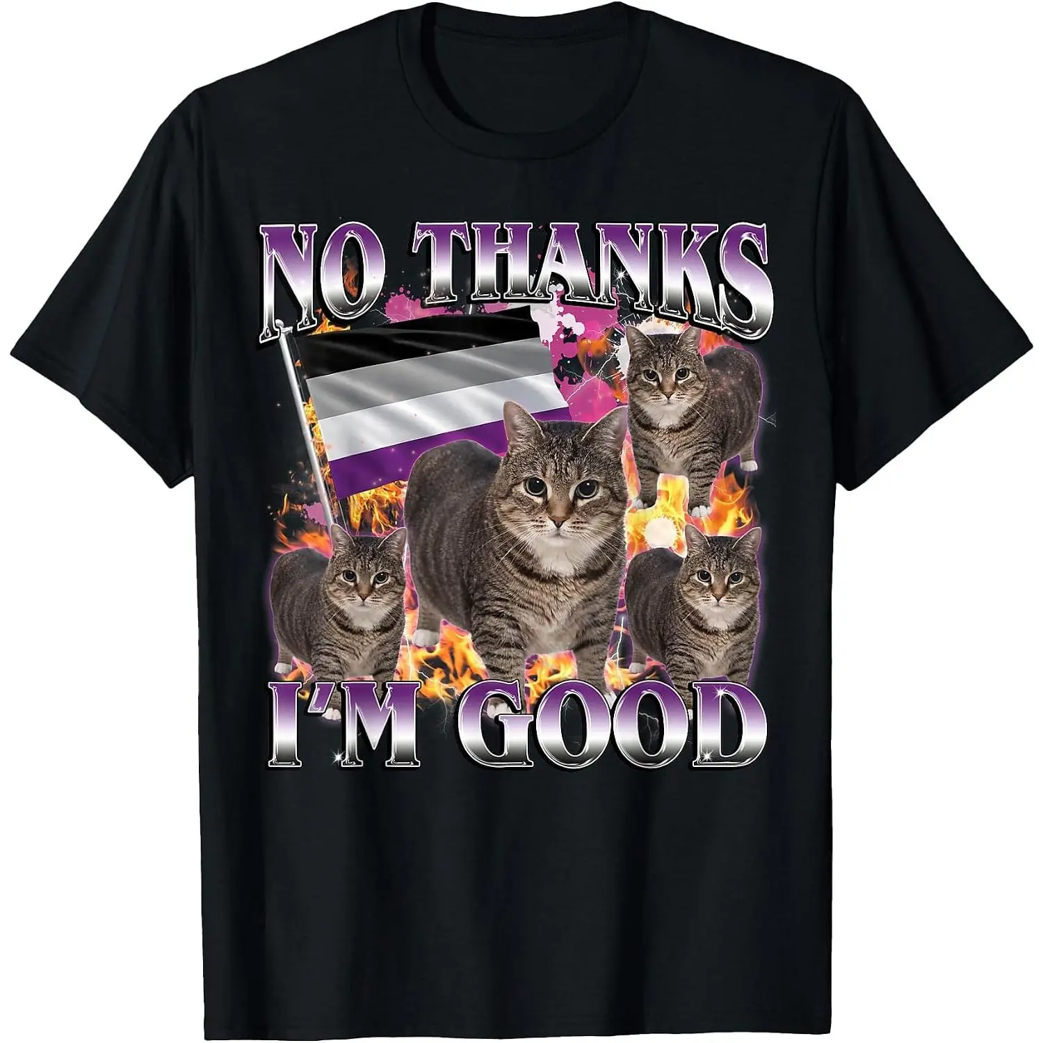 No Thanks I'm Good Funny Asexual LGBTQ Cat Meme Bootleg T-Shirt Women Men Unisex Cotton Clothing Streetwear