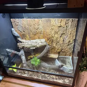 48x24x48 (240 Gallon) Reptile Enclosure