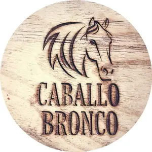 background preload poster image 