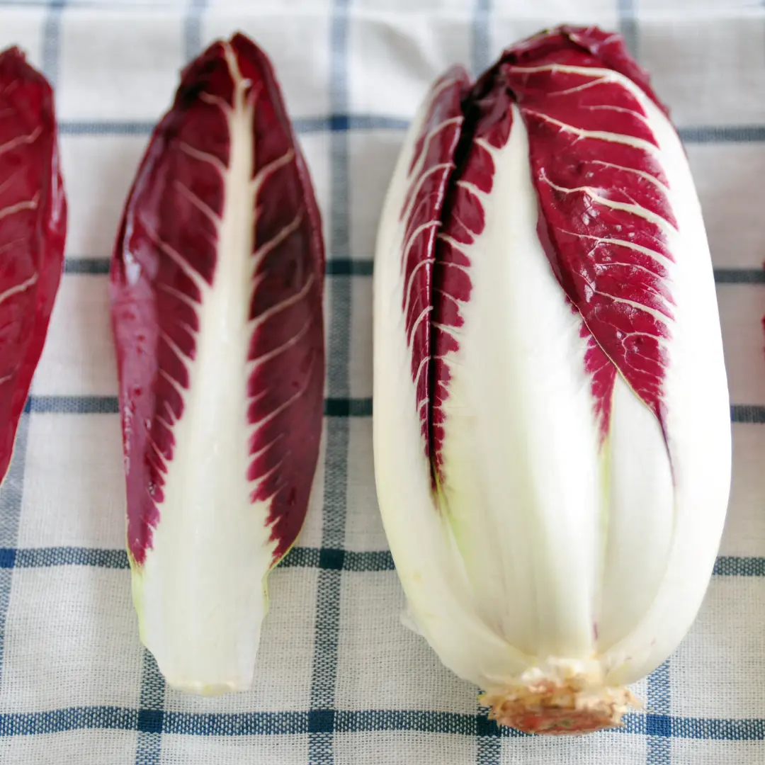 Organic Radicchio Rouge de Verona Seeds (Cichorium intybus) – Heirloom Italian Chicory for Bold, Bitter Greens