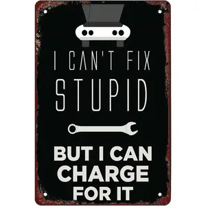 I Cant Fix Stupid, But I Can Charge for it Retro Funny Metal Sheet Signs, Wall Decoration