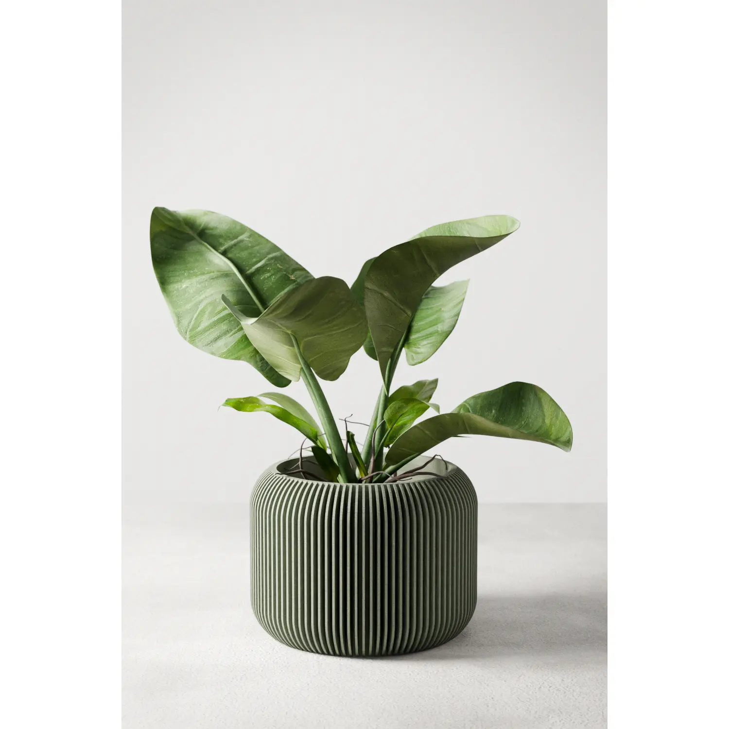 Orbis Planter - Sculptural Round Pot with Vertical Texture