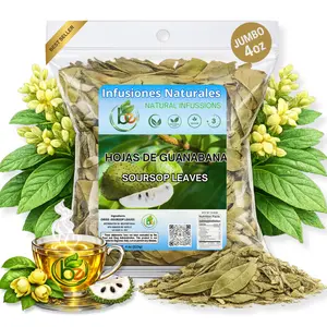 VIRAL Whole Dried Graviola Soursop Leaves (4 oz 113g+ Leaves Per Bag) Hoja De Guanabana, 100% All Natural Fresh Tea From Mexico . TEA Beverage Traditional