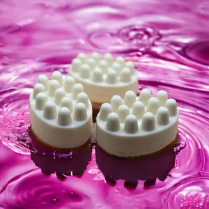 Aloe Shampoo  and conditioner Bar